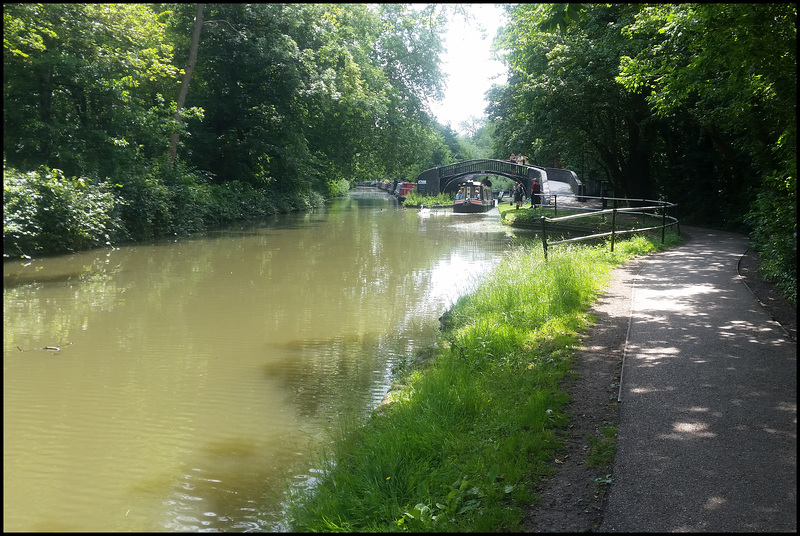 green canal