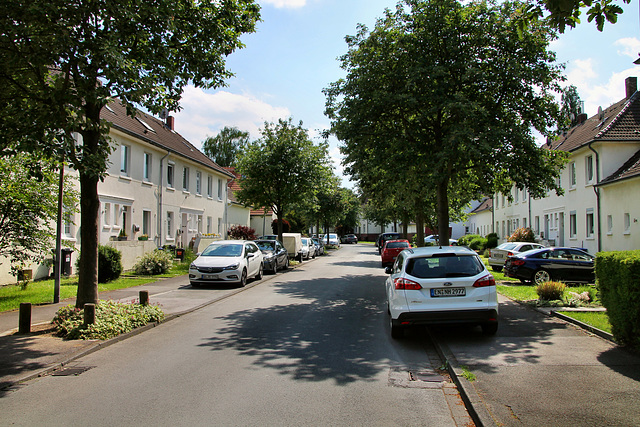 Teutoburgiahof (Siedlung Teutoburgia, Herne-Börnig) / 25.05.2019