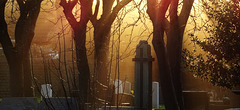 Whitley Bay Cemetery