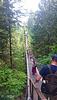 Capilano Suspension Bridge, Vancouver