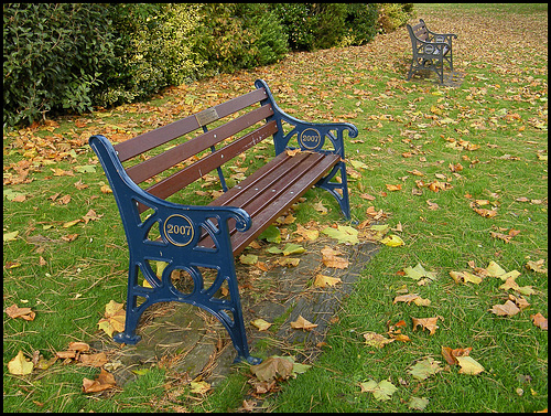seat in autumn