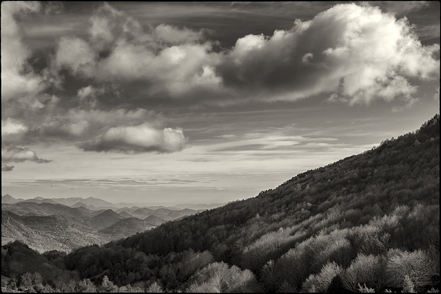 Tardor en blanc i negre