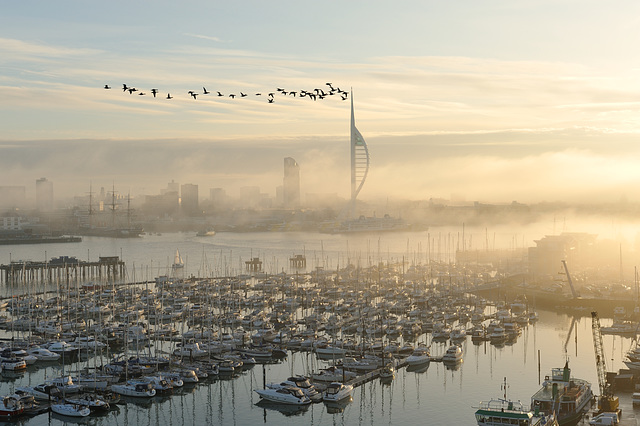 spinnaker tower with geese