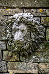 Lion at Brockworth