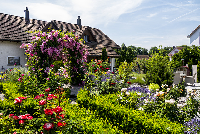 Schöner Garten