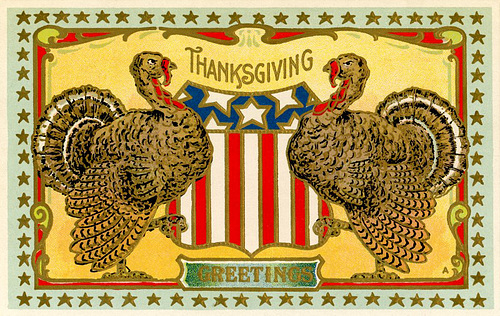 Thanksgiving Greetings from a Couple of Turkeys
