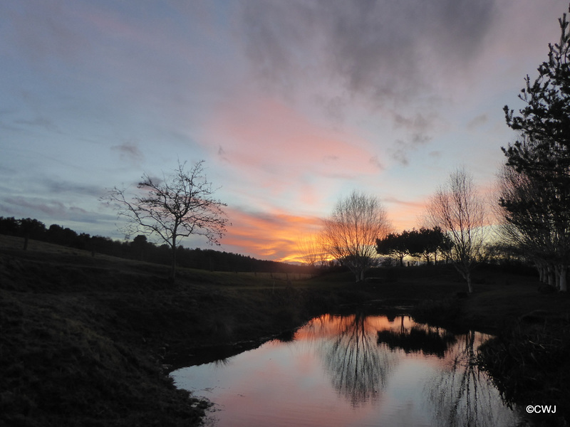 More winter night skies