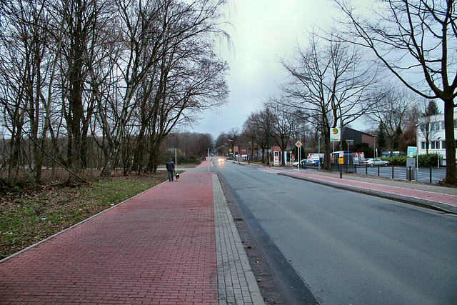 Sickingmühler Straße (Marl-Brassert) / 24.12.2016