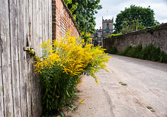 Seend, Wiltshire: Church Lane