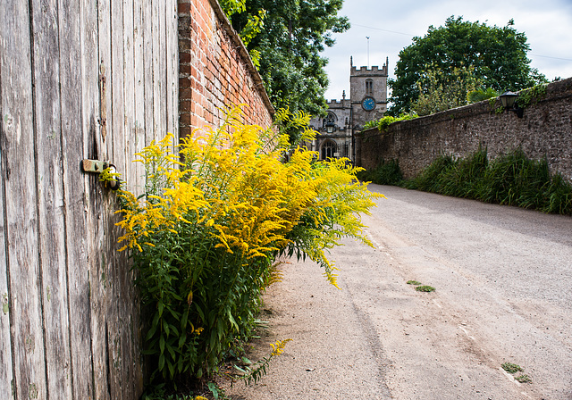 Seend, Wiltshire: Church Lane