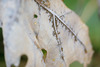 DSCF9271