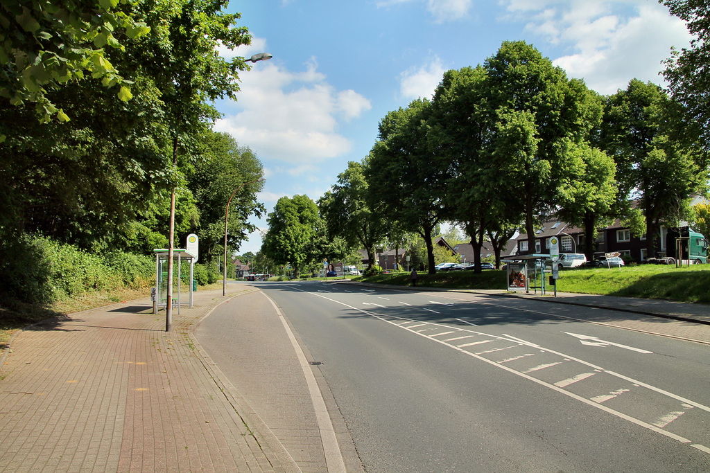 Sodinger Straße (Herne-Börnig) / 25.05.2019