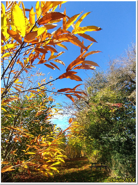 Enjoying the last colourful days - HBM