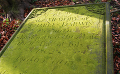 Memorial to Charles Darwin, Wentworth Old Church, South Yorkshire