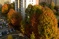 Milano, Autumn Colours