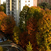 Milano, Autumn Colours