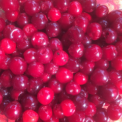 The cherry harvest has begun...4.5 kgs off just one tree so far!