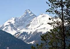 Schweizer Alpen