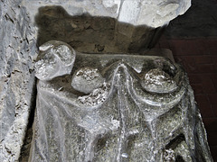 winchelsea church, sussex (67)dog at feet of c14 female tomb effigy