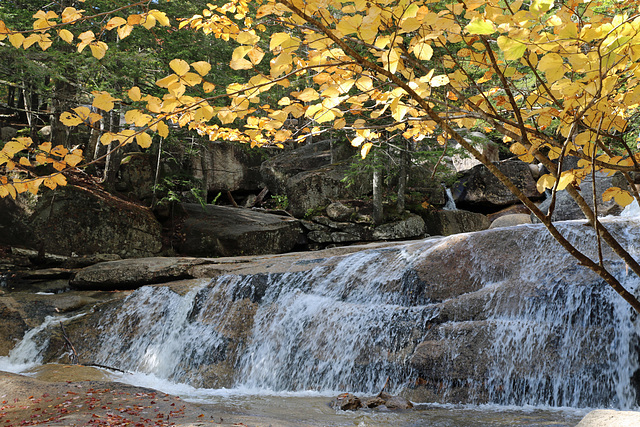 Autumn Falls (Explored)