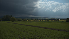 tierra arada