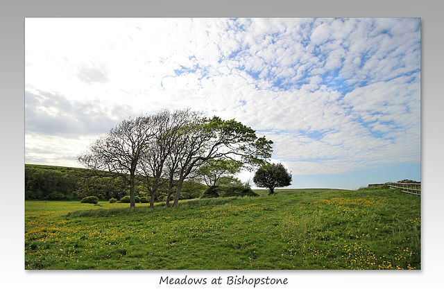 Meadows at Bishopstone - 13.5.2015