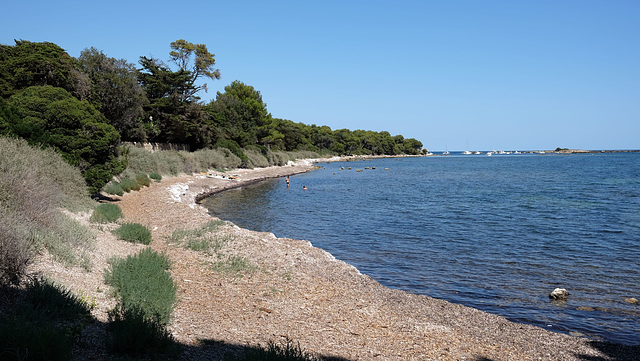 CANNES: Visite de l'ile Saint Honorat 47