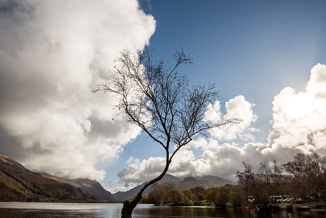 Llyn Padarn2