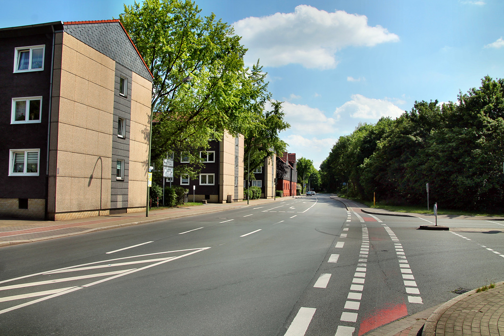Sodinger Straße (Herne-Börnig) / 25.05.2019