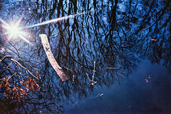 Reflection of ...