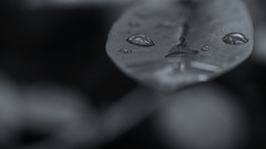 extraterrestre