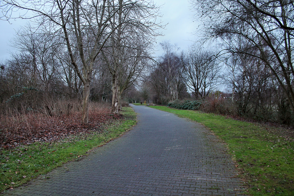 Ehemalige Zechenbahntrasse (Marl-Brassert) / 24.12.2016