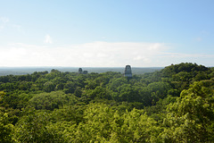 Guatemala, Tikal, Temples II, I and V from the Top of Temple IV