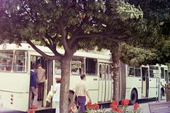 Concertina Bus (5 05)