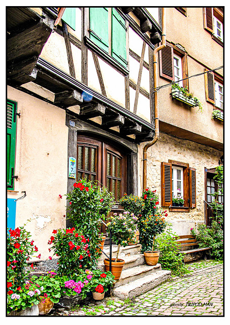 Eguisheim 24