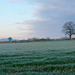 Frosty Gnosall fields