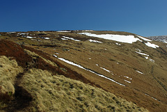 The track along Yellowslacks ridge