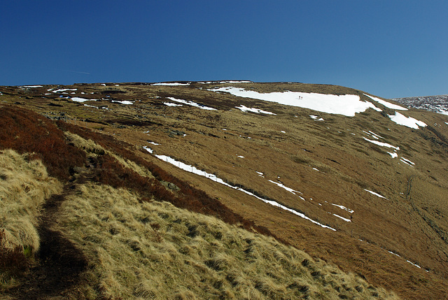 The track along Yellowslacks ridge