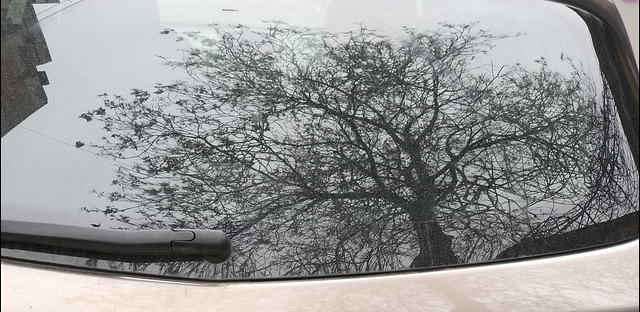 draw on a car window