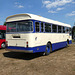 Stonham Barns 'The Big Bus Show' - 14 Aug 2022 (P1130049)