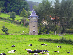 Belgian Cow Castle