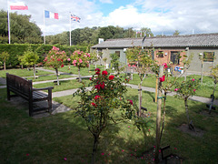 yam[25] - Memorial {4 of 7} : Roses ... [hBM]