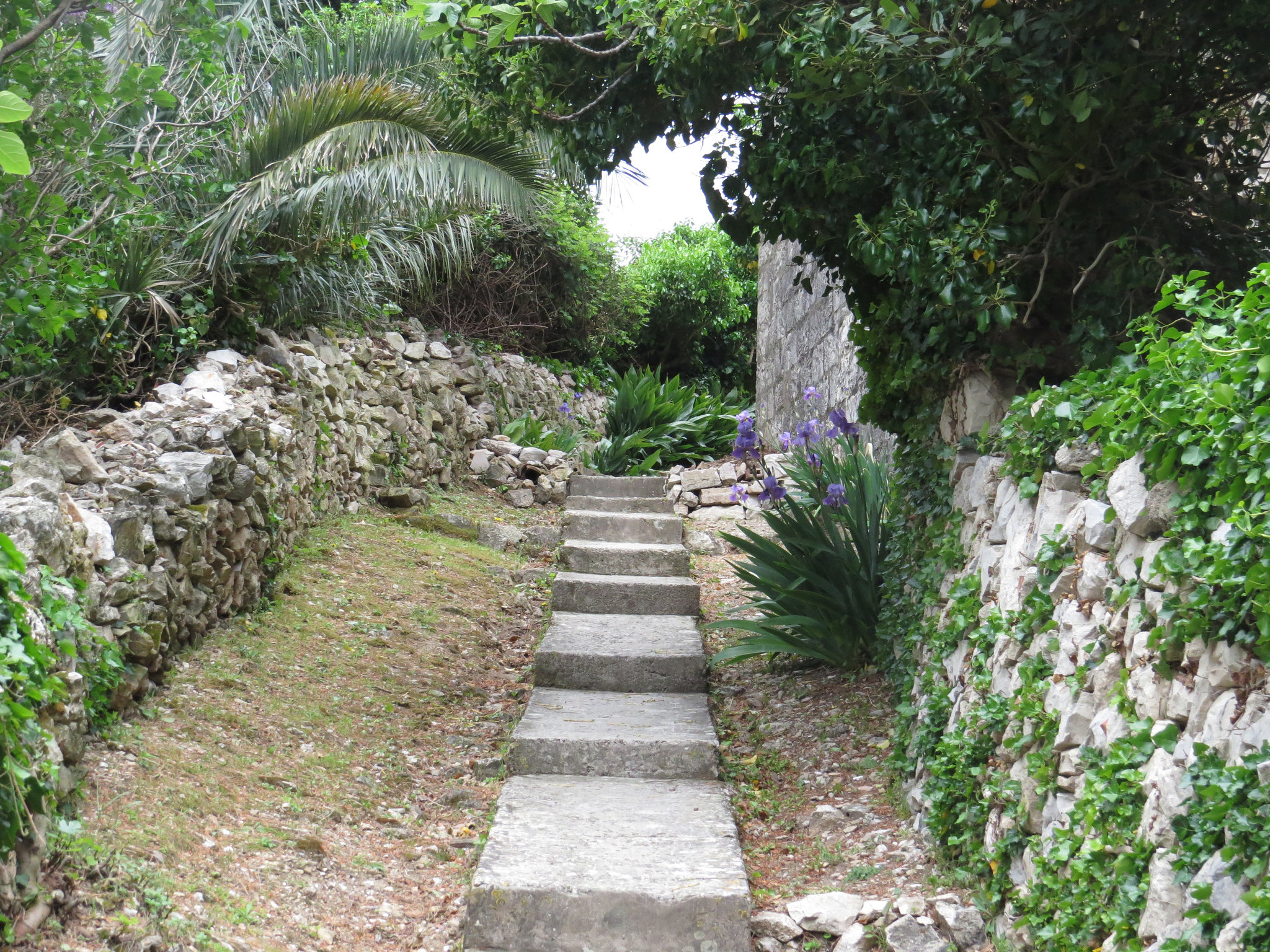 Cavtat, 4.