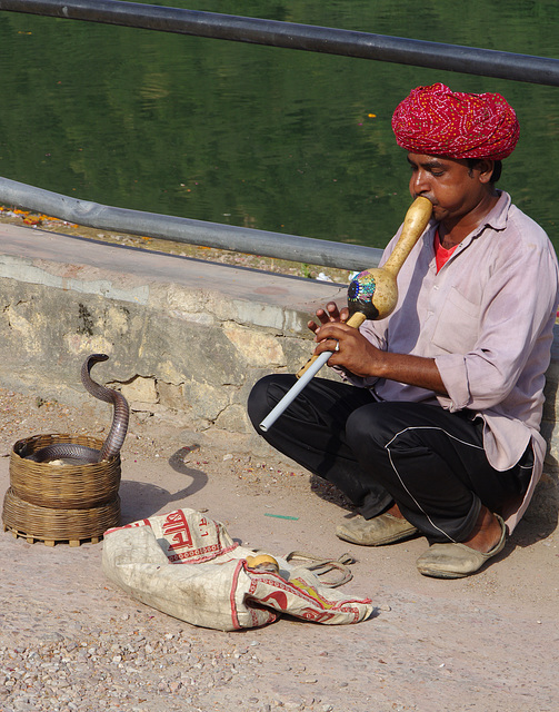 A real snake charmer