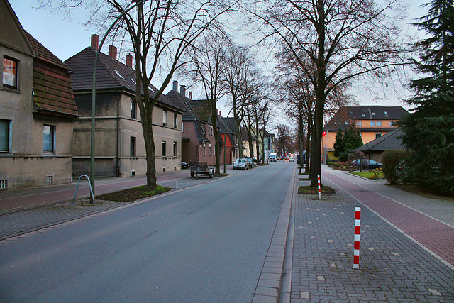 Sickingmühler Straße (Marl-Brassert) / 24.12.2016