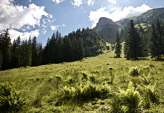 Wandergebiet am Vilsalpsee