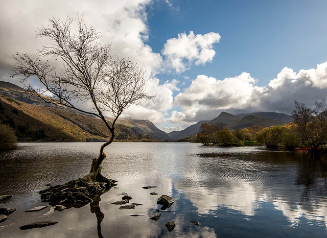 Llyn Padarn5