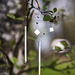 Wind Chime