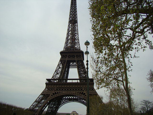 PARIS Eiffel tower   ***All rights reserved