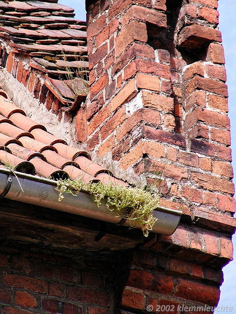 Detail an der Heiligen-Geist-Kirche in Wismar, 2002